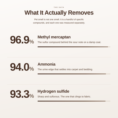 PAWGIENE Nano Enzyme Deodorizer