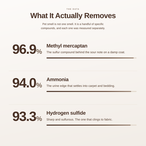 PAWGIENE Nano Enzyme Deodorizer