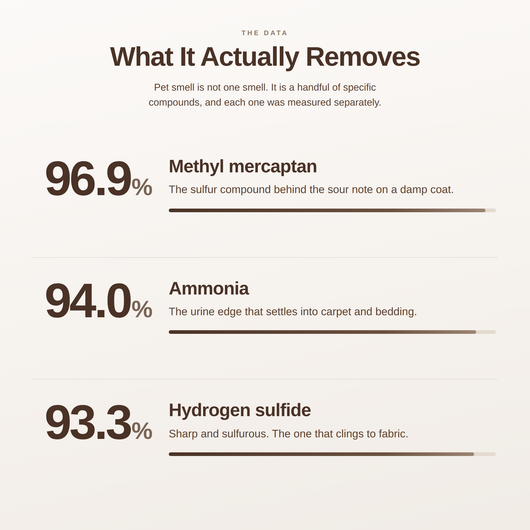 PAWGIENE Nano Enzyme Deodorizer